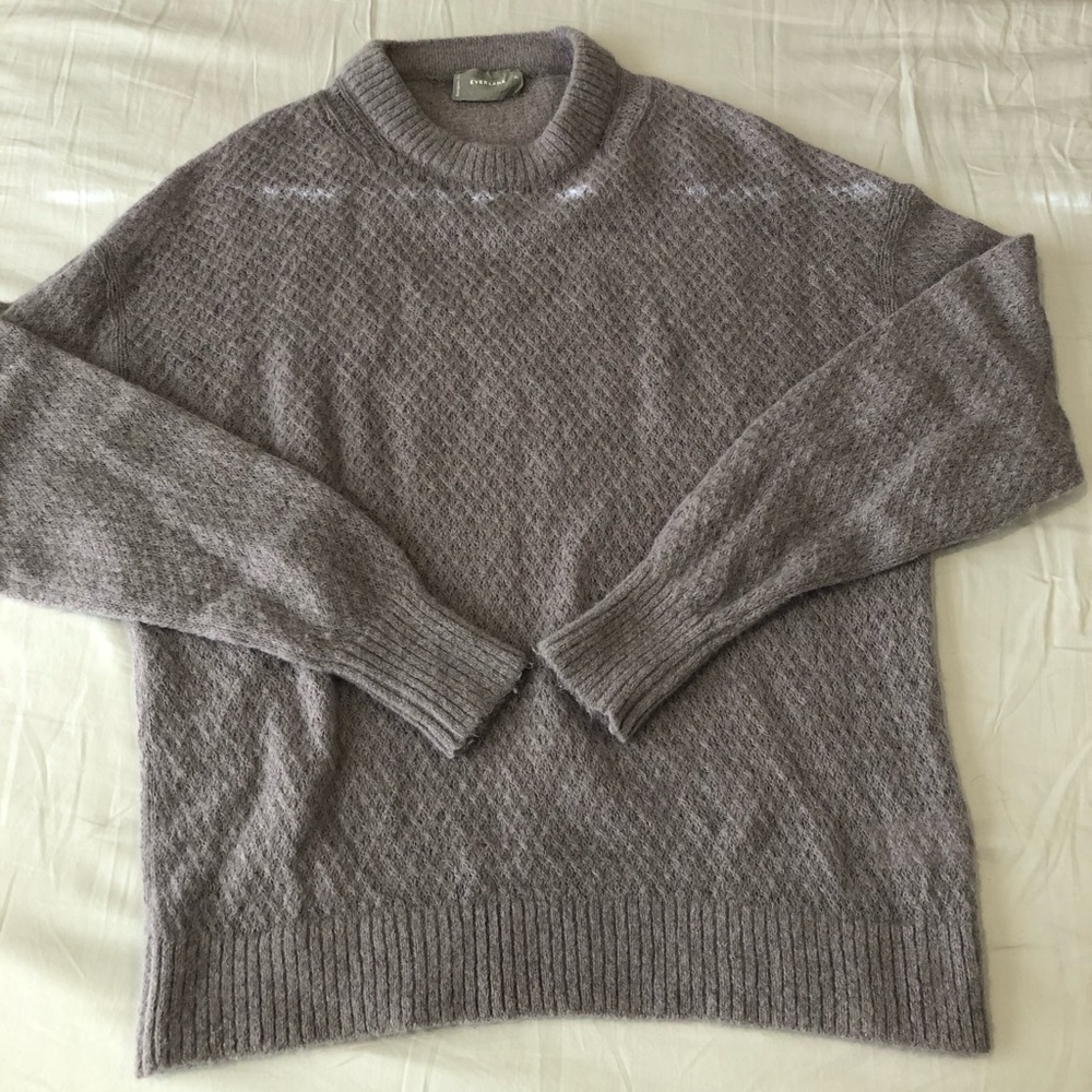 Everlane The Oversized Alpaca Crew